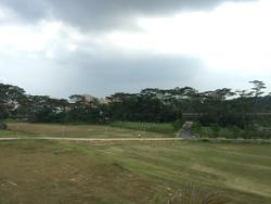 Pavilion Park (D23), Terrace #122672872
